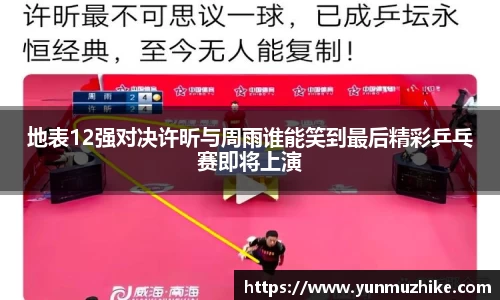 zoty中欧